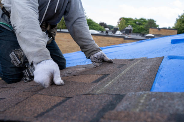 Best Emergency Roof Repair  in Daingerfield, TX